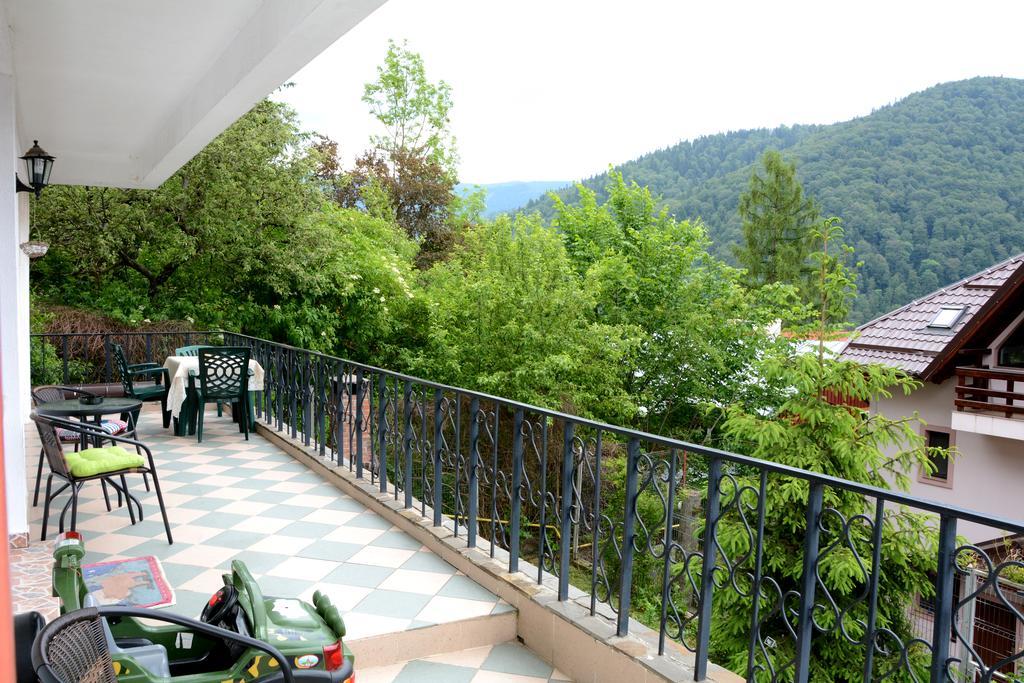 Casa Ana Villa Sinaia Exterior photo